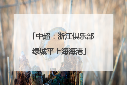中超：浙江俱乐部绿城平上海海港